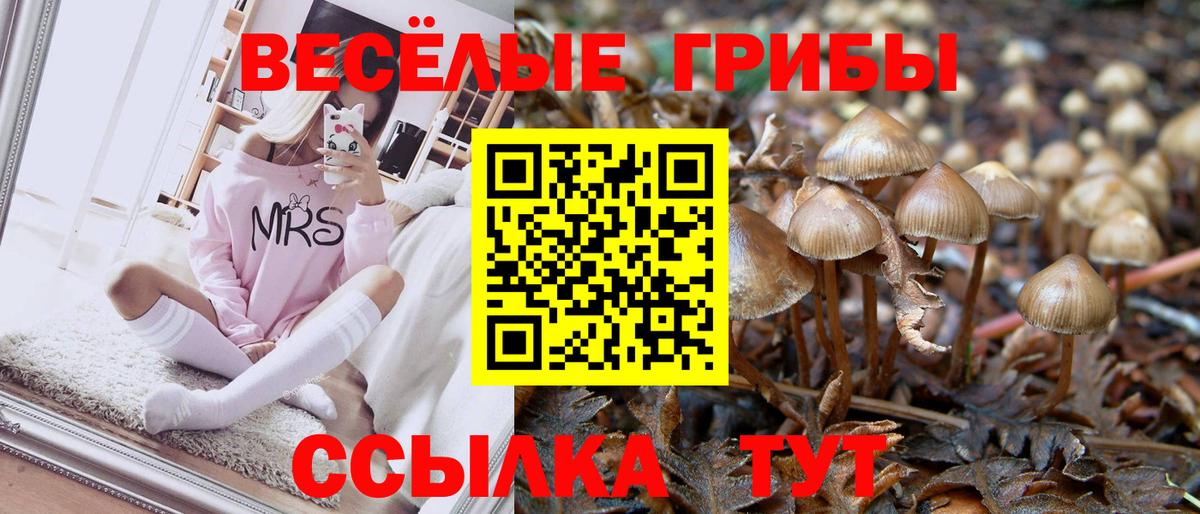 Псилоцибиновые грибы GOLDEN TEACHER Добрянка